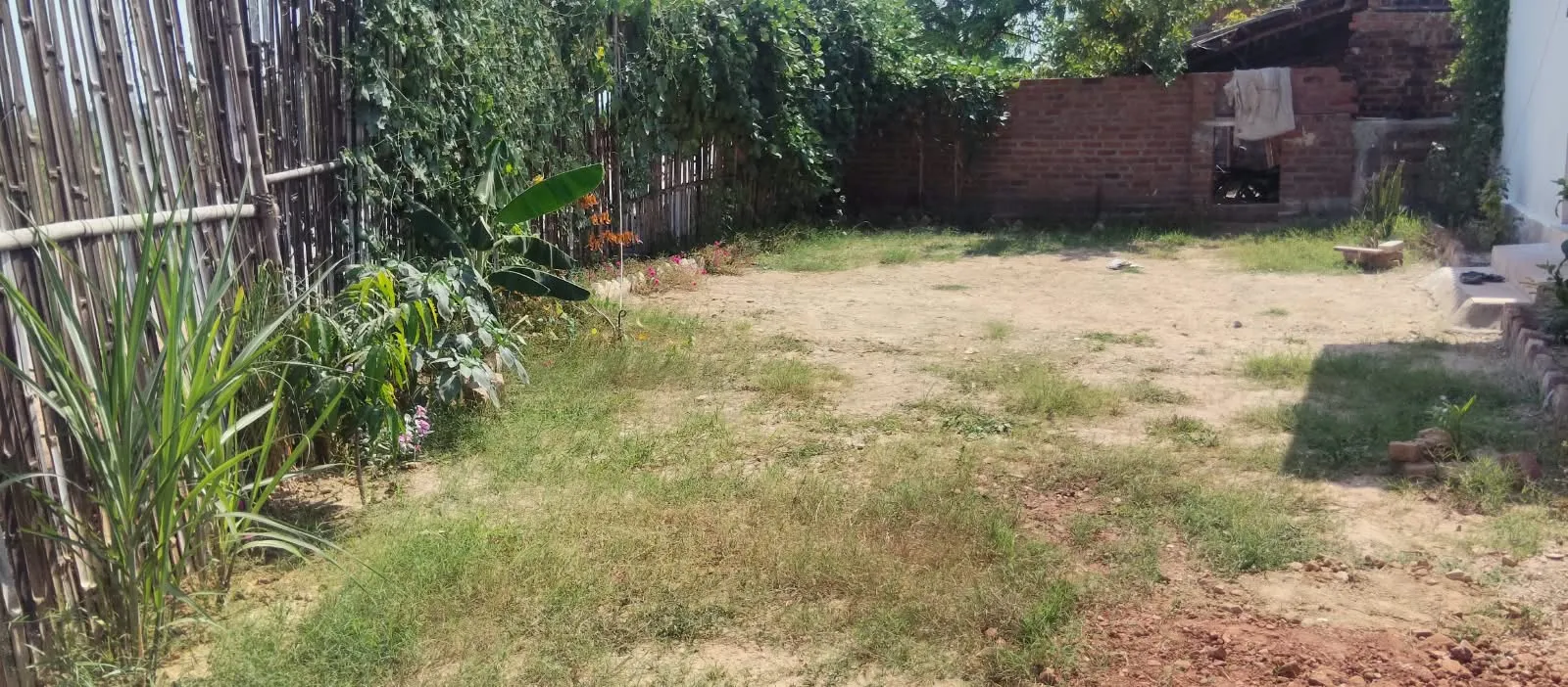 The open yard beside the homestay, bordered by trees and a bamboo fence.