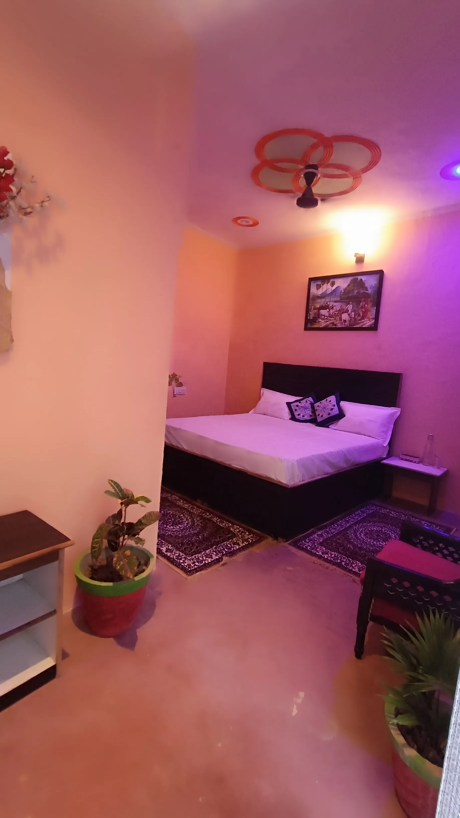 A wider view of the standard room with its ceiling fan and seating.